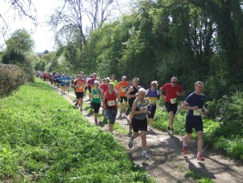 Houghton Trail 11K Run