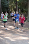 Forest of Dean Autumn Trails