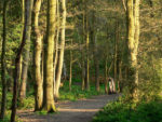 Wimbledon Common 10km