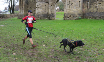 Bath Skyline 10km - Canicross