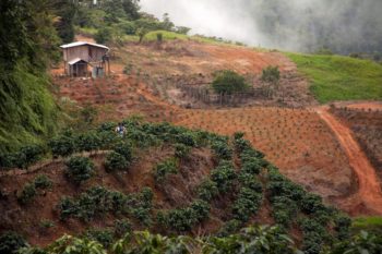 Costa Rica Trail - La Transtica Extreme