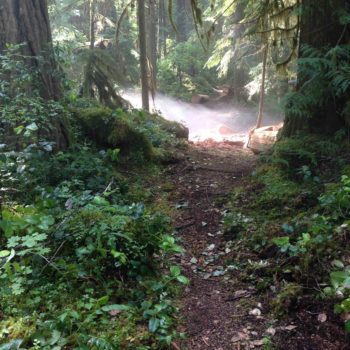 Willamette Headwaters Endurance Events (WHEE Run)