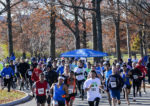 20131123-Self-Transc-5k_17a-cropped