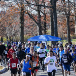 20131123-Self-Transc-5k_17a-cropped