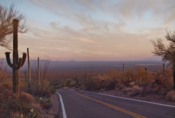 Veterans Day Half Marathon & 5k