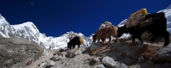 Climb 2 Cure Everest Base Camp Info Session - September 21