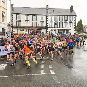 Whole Earth  Man V Horse Race