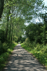 North Dorset Village Marathon and Relay