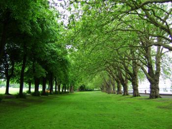 Wandsworth Park 10km