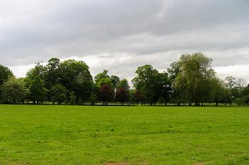 Gunnersbury Park 10km