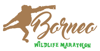 Borneo Wildlife Marathon