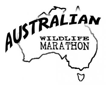 Australian Wildlife Marathon