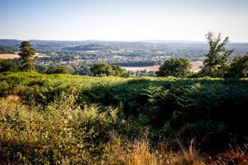 Hard As Snails, Surrey Hills trail race