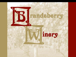 Brandeberry Wine Run 5k