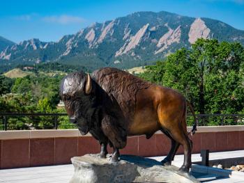 Wherever You Roam Virtual 5K (in partnership with University of Colorado Boulder)