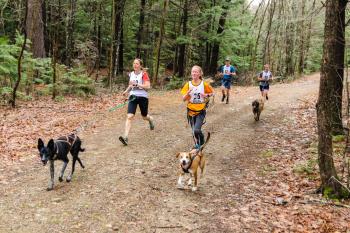 Gunstock TrailFest