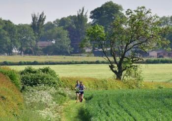Shires and Spires Northants Ultra 35, Marathon, Half Marathon, 10K, Naseby 2021