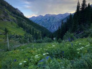 Box Canyon Trail Races