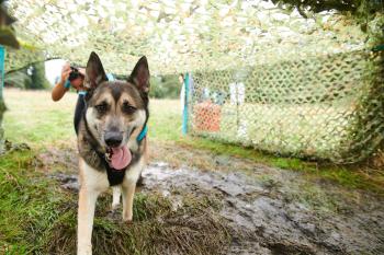 Muddy Dog Challenge Windsor Sunday