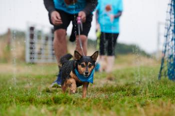 Muddy Dog Challenge Leeds