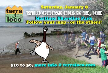 Wild Goose Chase 5k, 10k Martinez Shoreline