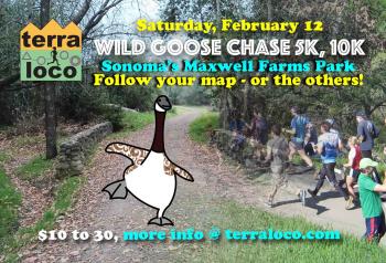 Wild Goose Chase 5k, 10k Sonoma Maxwell Farms