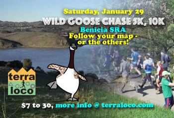 Wild Goose Chase 5k, 10k Benicia SRA