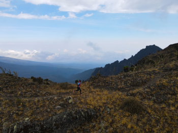 Kilimanjaro Trail Run