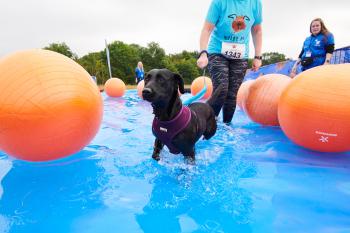 Muddy Dog Challenge Derby