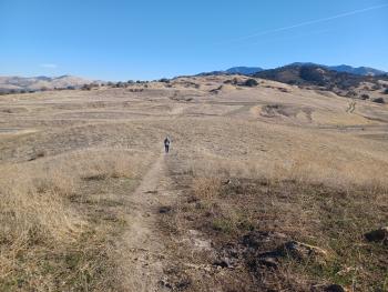 Go Wild! Lime Ridge 2 Hour