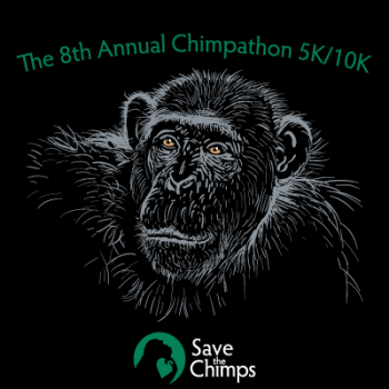 Save the Chimps Chimpathon 5K/10K