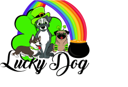 Lucky Dog 5K - Kenosha