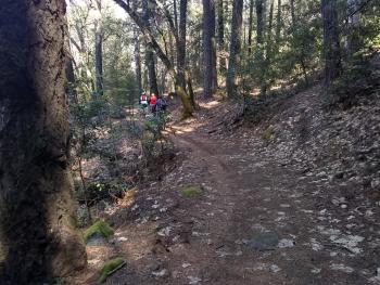 Wild Goose Chase 5K, 10K Howell Mountain