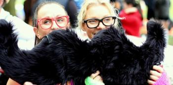 The Manchester 1.5k, 5k, 10k and Half Marathon MoRun 2023