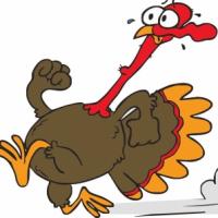 Turkey Toss 5k