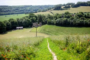 North Downs Run