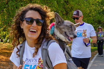 PAWS Chicago 5K
