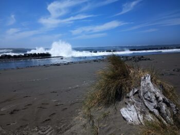 Samoa Dunes Find-Your-Way 5K & 10K