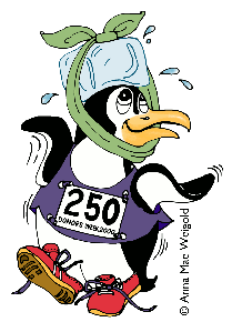 Torrington Road Race