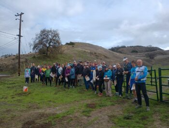 Go Wild! Lime Ridge 2 Hour Walnut Creek