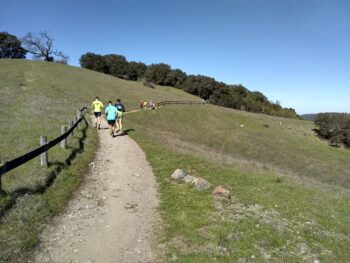 Go Wild! Peninsula 2 Hr, 4 Hr Redwood City