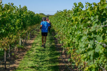2026 Wine Run at Westport Rivers Vineyard and Winery - 5k