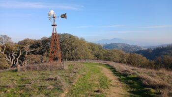 Go Wild! MTZ 2 Hr, 4 Hr