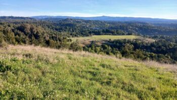 Go Wild! Santa Cruz 2 Hr, 4 Hr