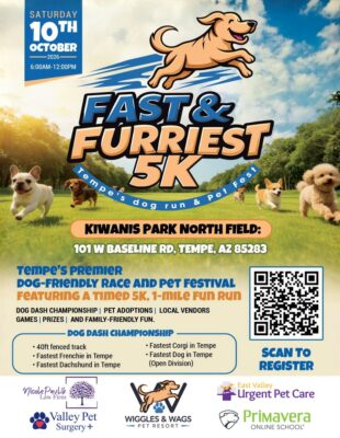 Fast and Furriest 5k and pet fest