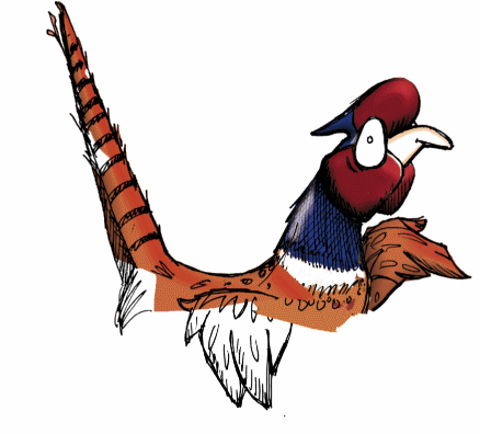 Pheasant Dash