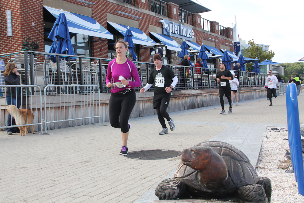 Woodrow Wilson Bridge Half Marathon