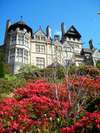 Run Northumberland Cragside 10k