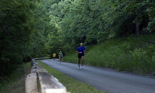 Blue Ridge Marathon - America's Toughest Road Marathon