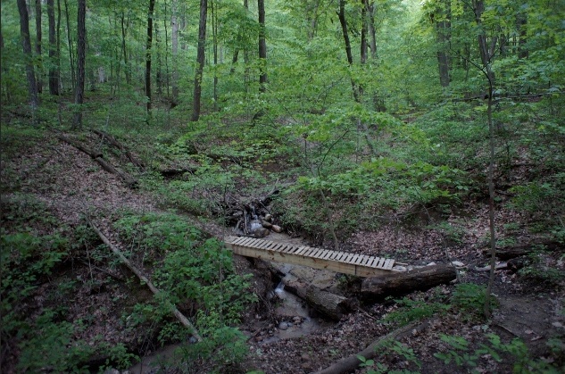 Forest Glen Trail Run